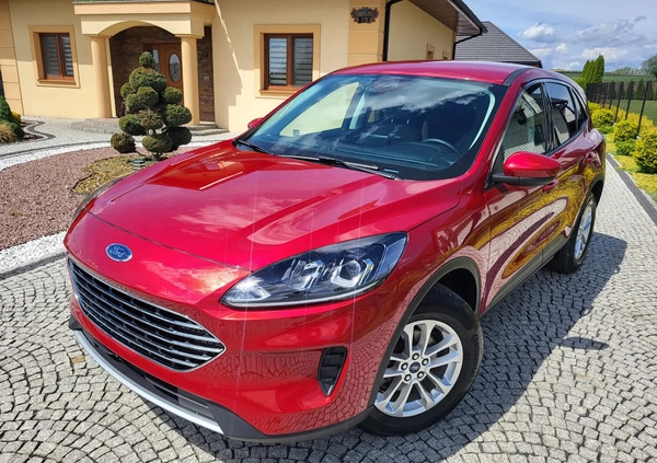 Ford Kuga cena 81999 przebieg: 18000, rok produkcji 2022 z Tarnów małe 631